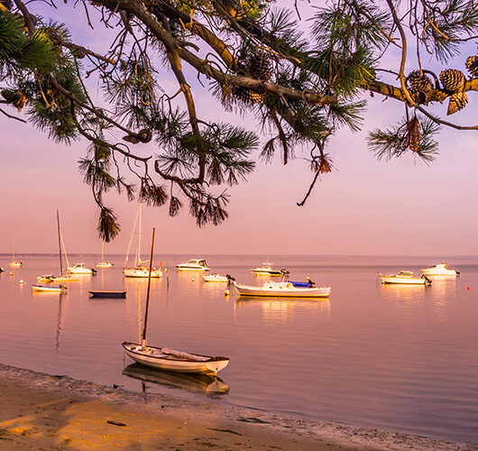 Cave à vin La Teste-de-Buch