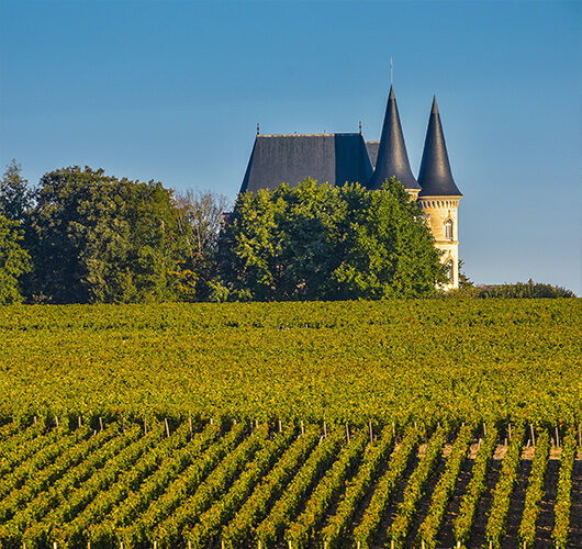 Cave à vin Le Pian Médoc