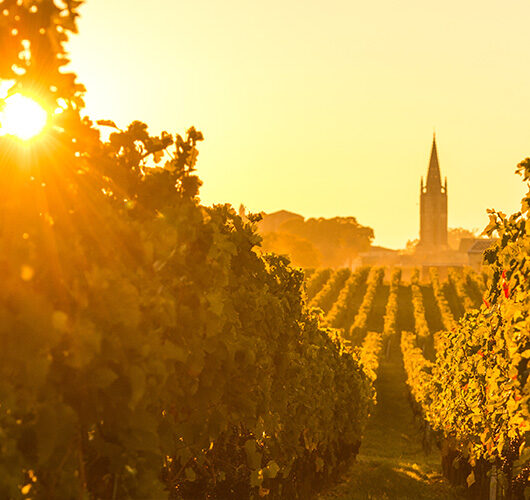 Cave à vin Libourne